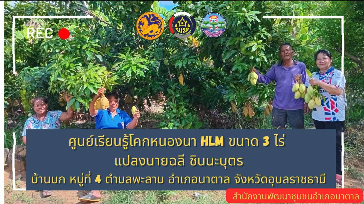 ?พช.นาตาล จัดทำสื่อประชาสัมพันธ์และเผยแพร่ความสำเร็จ (Best Practice) ศูนย์เรียนรู้ฯ ที่มีศักยภาพและความสามารถในการส่งเสริมการเรียนรู้ ของคนในชุมชน ในรูปแบบคลิปวิดีโอ และเผยแพร่ผ่านช่องทางออนไลน์